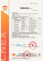 防爆噸袋真空包裝機(jī)